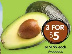 Spudshed Avocados offer