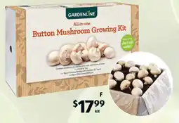 ALDI Button Mushroom Growing Kit offer