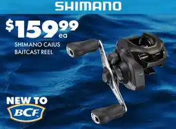 BCF SHIMANO CAIUS BAITCAST REEL offer