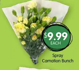 Spudshed Spray Carnation Bunch offer