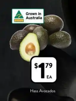Foodworks Hass Avocados offer