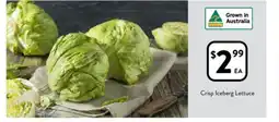 Foodworks Crisp Iceberg Lettuce offer