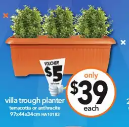 Cheap as Chips villa trough planter offer