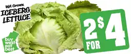 ICEBERG LETTUCE