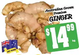 GINGER