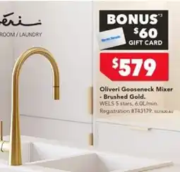 Oliveri Gooseneck Mixer - Brushed Gold