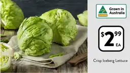 Foodworks Crisp Iceberg Lettuce offer
