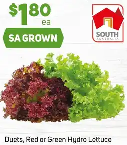 Foodland Duets, Red or Green Hydro Lettuce offer