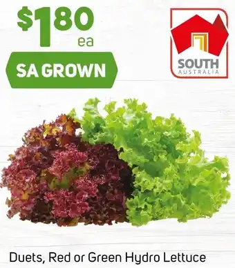 Foodland Duets, Red or Green Hydro Lettuce offer