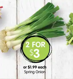 Spudshed Spring Onion offer