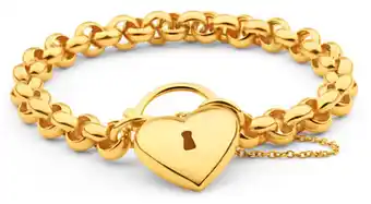 Shiels 9ct delightful yellow gold silver filled belcher bracelet offer