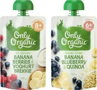 Coles Only Organic Baby Food Pouches 120g offer