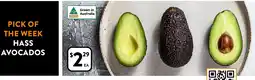 Foodworks Hass avocados offer
