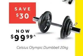 Rebel Celsius Olympic Dumbbell 20kg offer