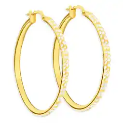 Shiels 9ct Yellow Gold Silver Filled 30mm Hoop Earrings with diamond cut feature offer