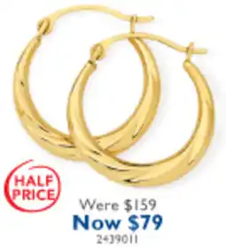 Earrings