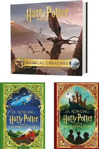 BIG W Harry Potter Books offer