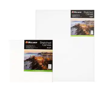 BIG W Micador canvas offer