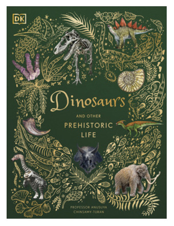 BIG W Dinosaurs and other prehistoric life offer