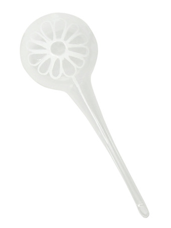 Plant water bottle daisy