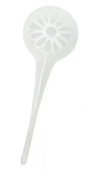 Ramsay Pharmacy Plant water bottle daisy offer