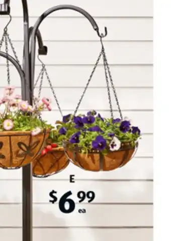 ALDI Coco fibre hanging basket offer