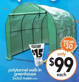 Polytunnel walk in greenhouse