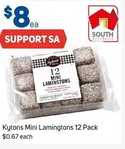 Kytons mini lamingtons