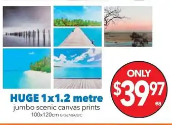 Cheap as Chips Huge 1x1.2 Metre Jumbo Scenic Canvas prints 100x120cm offer