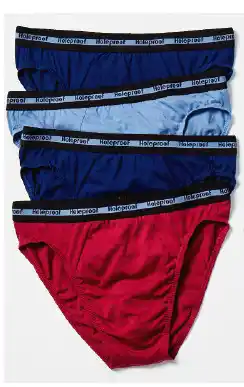 Holeproof 4pk briefs