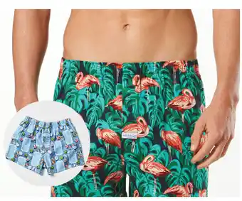 Mitch dowd flamingos & palm springs pools boxer