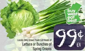 Foodworks Lettuce Or Bunches Of Spring Onions offer