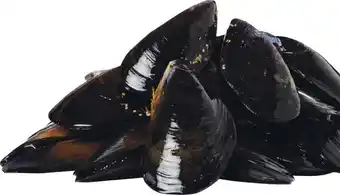 Woolworths Fresh Blue Jervis Bay Australian Mussels offer