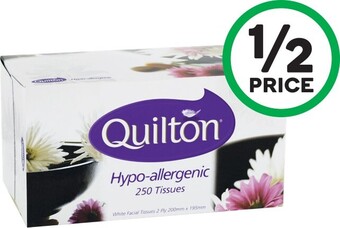 Woolworths Quilton Hypo Allergenic Facial Tissues Pk 250 offer