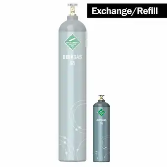 Toolmart Wa gases d size beer gas 55/45 swap offer