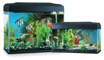 Just For Pets Blue planet aquariums offer