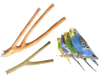 Feathered friends multi branch & coffeewood perches