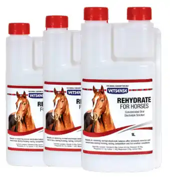 Just For Pets Vetsense rehydrate horse 1l offer