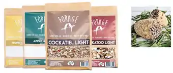 Forage gourmet bird seeds