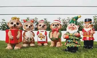 Meerkat or Gnome