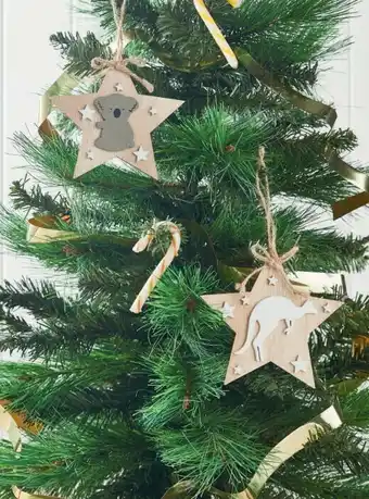Coles Coles Australiana Star Decoration offer