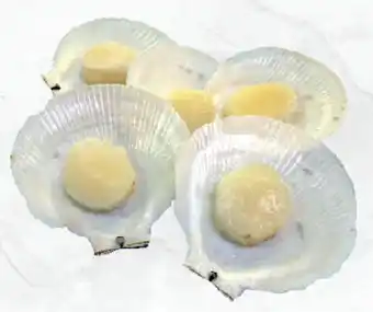 Drakes Australian half shell scallops offer