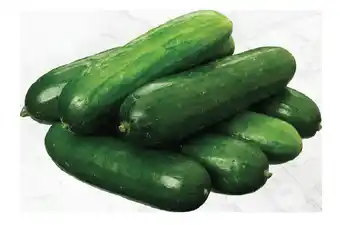 Australian lebenese cucumbers