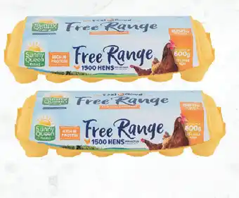 Sunny queen farms eggs free range large eggs 12 pack