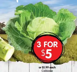 Spudshed Cabbage offer
