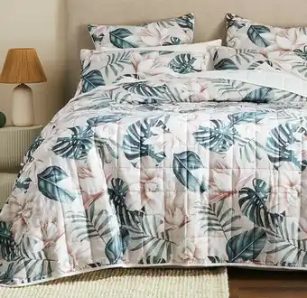 Spotlight Logan & Mason Takisha Coverlet offer