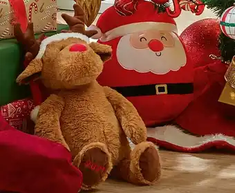 Spotlight 40% Off Jolly & Joy Christmas Plush offer