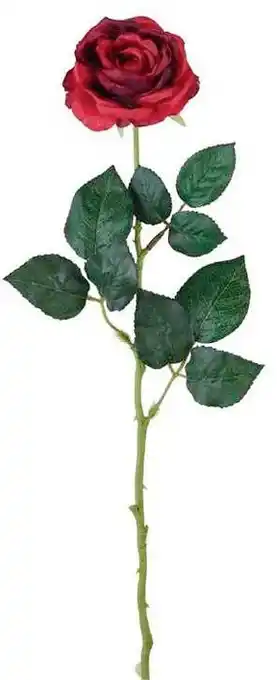 Spotlight 30% off Rose Stem offer