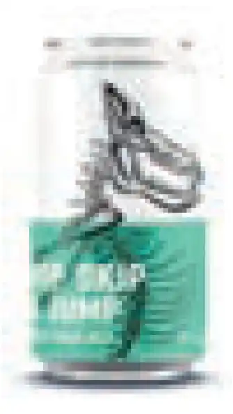 Vintage Cellars Aether brewing hop skip & jump ipa 4x375ml offer