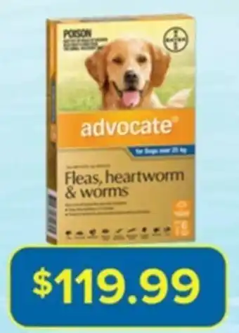 Advocate Worm Treatment For Dogs